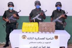 توقيف 37 بارون مخدرات وحجز أزيد من 11 قنطار زطلة