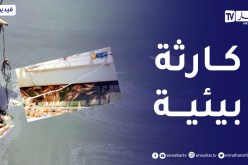 تيبازة .. تحلل أسماك الشبوط بسد بوكردان ينذر بحدوث كــارثة بيئية خــطيرة
