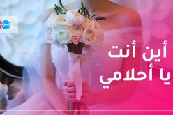 محترمة تحلم بفارس يطير بها ويحقق لها الأحلام