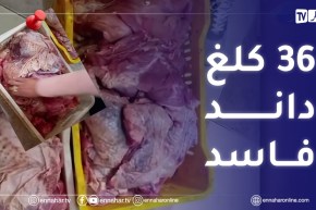 بشار: حجز وإتلاف 36 كلغ من اللحم “الداند” الغير صالح للإستهلاك البشري
