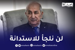 الرئيس تبون: لن نلجأ للاستدانة والأموال المخبأة ستخرج