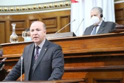 أعضاء مجلس الأمة يصادقون بالإجماع على مخطط عمل الحكومة