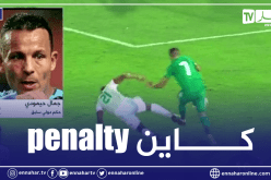 حيمودي: ” الحكم حرم محرز من ركلة جزاء شرعية”