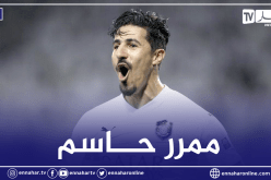 بالفيديو.. بونجاح يقود السد لتحقيق أول إنتصاراته هذا الموسم