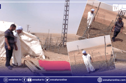 البيض: مربي ماشية يتعرض لسرقة 59 رأس ببلدية الشقيق