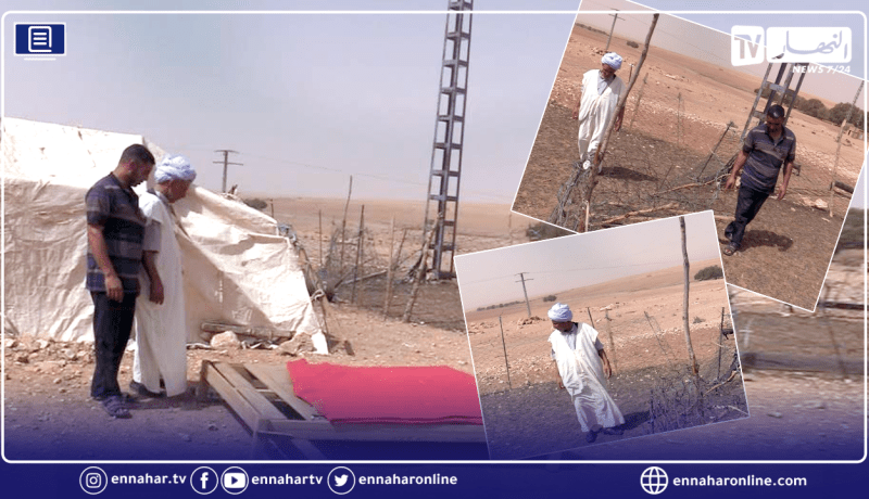 البيض: مربي ماشية يتعرض لسرقة 59 رأس ببلدية الشقيق