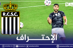 زرقان يُثير الإعجاب في بلجيكا