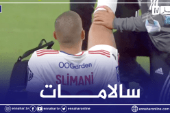 بالفيديو.. سليماني ممرر حاسم ويتعرض لإصابة أمام لوريان