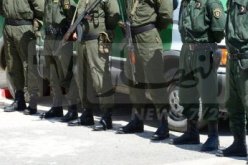 الدرك الوطني: توقيف 30 مشتبها بهم في إشعال حرائق الغابات الأخيرة