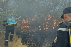 إخماد حريق في جبل ماونة بقالمة