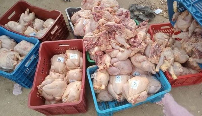 العاصمة: حجز أزيد من 9 قناطير من الدجاج موجهة للإستهلاك بطريقة غير شرعية