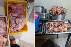 بشار: حجز وإتلاف 36 كلغ من لحم “الداند” غير صالح للإستهلاك