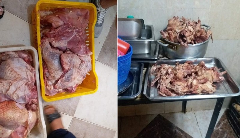 بشار: حجز وإتلاف 36 كلغ من لحم “الداند” غير صالح للإستهلاك