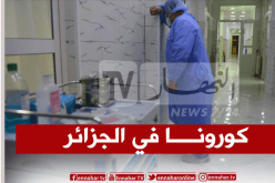 وزارة الصحة: 27 ولاية لم تسجل بها أي حالة جديدة بكورونا