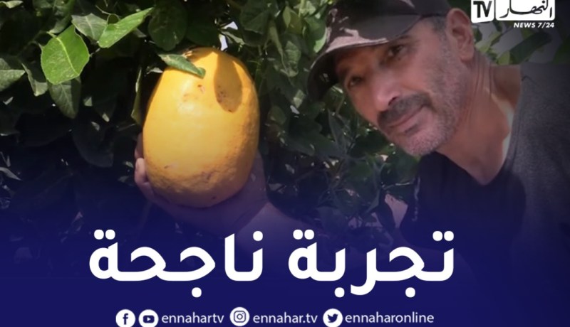 بالفيديو.. عمي جمال يستثمر في زراعة “ليمون الكافيار” تعرف عليه