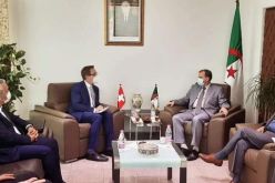 رزيق:نواصل العمل لإنشاء مجلس أعمال جزائري سويسري