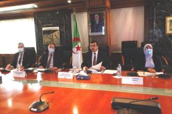 عرقاب يشارك في أشغال إجتماع أوبك حول الطاقة والمناخ والتنمية المستدامة