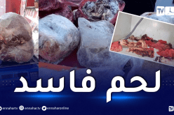 الأغواط..أعوان الرقابة لمديرية التجارة يحجزون أكثر من قنطار لحوم فاسدة