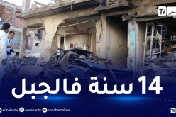 تلميذ ثانوي برتبة “أمير سرية”.. ينفذ 150 عملية ارهابية 