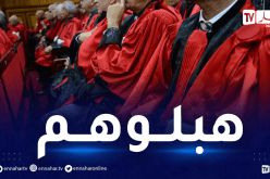 “ياخو” ” حضرات” “أستاذ” …ألقاب غريبة يطلقها المتهمون على القضاة