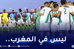 تعرف على الموعد الرسمي لمواجهة الخضر أمام جيبوتي