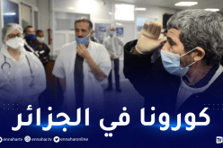 وزارة الصحة: 29 ولاية لم تسجل بها أي حالة جديدة بكورونا