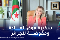 اعتماد سليمة عبد الحق سفيرة فوق العادة ومفوضة للجزائر لدى مملكة هولندا