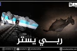 البيض: قتيل و11 جريحا في اصطدام حافلة لنقل المسافرين ببقرة