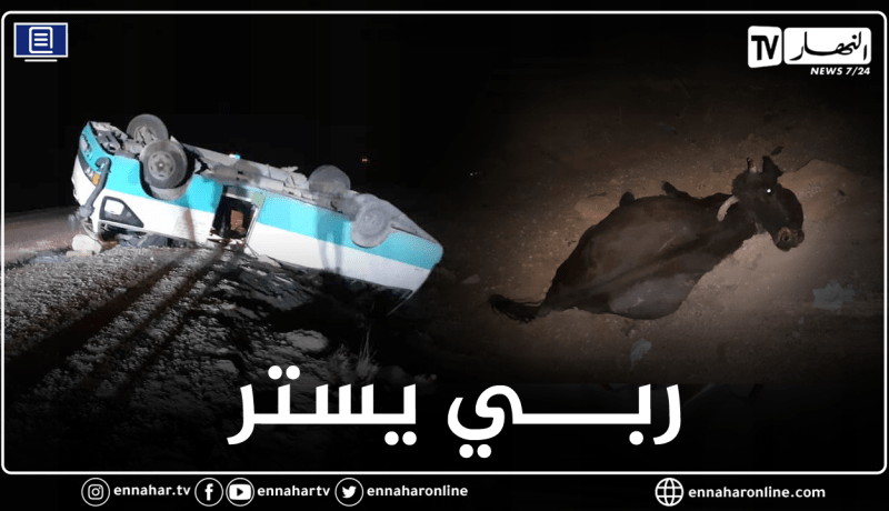 البيض: قتيل و11 جريحا في اصطدام حافلة لنقل المسافرين ببقرة