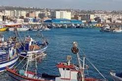 مستغانم: فتح تحقيق بخصوص حادثة رمي الأسماك بميناء صلامندر