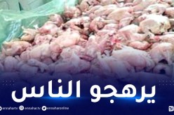الشلف: حجز قنطارا من الدجاج المذبوح بطريقة غير شرعية ببني حواء!