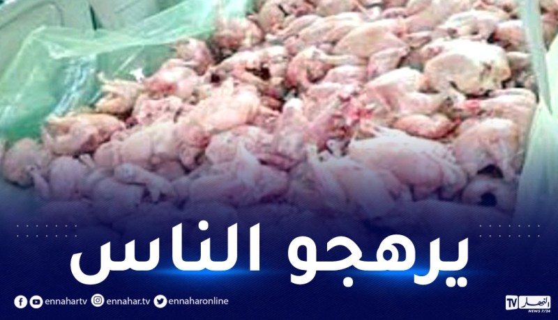 الشلف: حجز قنطارا من الدجاج المذبوح بطريقة غير شرعية ببني حواء!