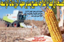 فضيحة في قطاع الفلاحة تطيح بمدير معهد الزراعات الواسعة