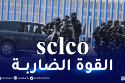 مكافحة الإجرام والأعمال الهدامة.. هذه مهام مصلحة sclco التابعة للشرطة
