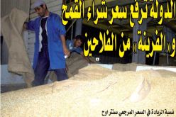 رفع سعر شراء القمح و”الفرينة” من الفلاحين