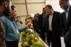 وزير الموارد المائية: نحرص على دعم ومرافقة القطاع الفلاحي في الجنوب