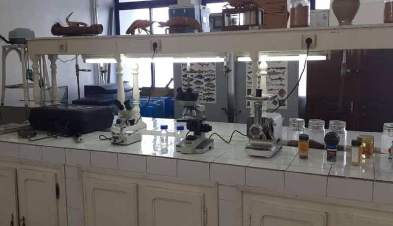 الصيد البحري..إلتحاق 7500 متربص بمؤسسات التكوين