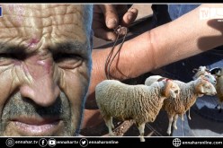 عصابات اجرامية تسطو على 130 رأس غنم ملك لموال من ذوي الحتياجات الخاصة
