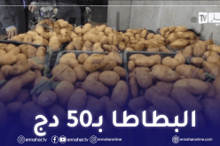 قريبا.. البطاطا بـ50 دينار في الأسواق