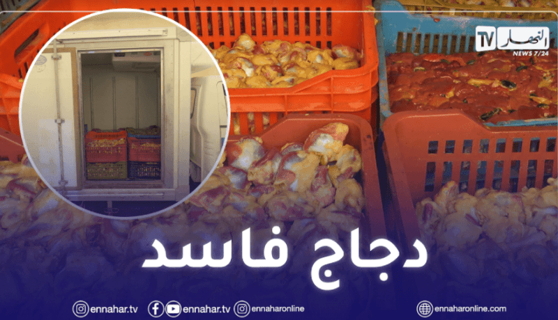 غليزان: حجز أزيد من قنطار من الدجاج الفاسد الموجه للإستهلاك