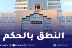 إدانة مغترب ببلجيكا عن تهمة الانخراط بتنظيم ارهابي بسوريا