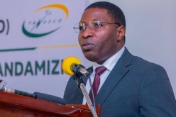 وزير الطاقة التنزاني يزور محطة الكهرباء بالحامة