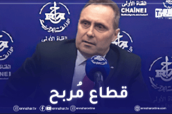 بوضربة: قطاع الخزف يمكن أن يجلب للجزائر 200 مليون دولار سنويا