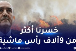 بلجود: تم تعويض أزيد من 5 آلاف رأس ماشية للمتضررين من الحرائق الأخيرة