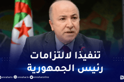 الوزير الأول يؤكد عزم الحكومة على بناء منظومة إحصائية فعّالة