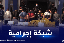 حجز قرابة 42 كغ من الكيف المعالج بتيبازة