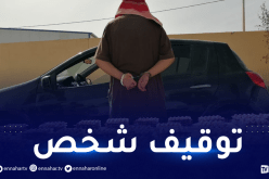 الوادي: الجمارك تحبط محاولة نقل وبيع 6525 قرص مهلوس