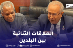 لعمامرة يجري مشاورات ودية مع نظيره النيجيري