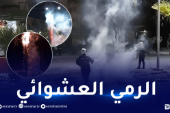 “المحارق” تتسبب في 10 حرائق بسكيكدة