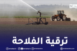 حسني: 70 بالمائة من المياه توجّه للإستغلال الفلاحي